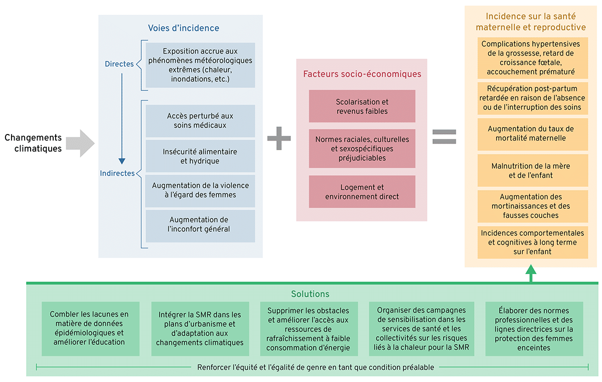 Représentation visuelle des effets directs et indirects des changements climatiques sur la santé maternelle et reproductive. Voir la légende de la figure pour les détails de l'illustration.