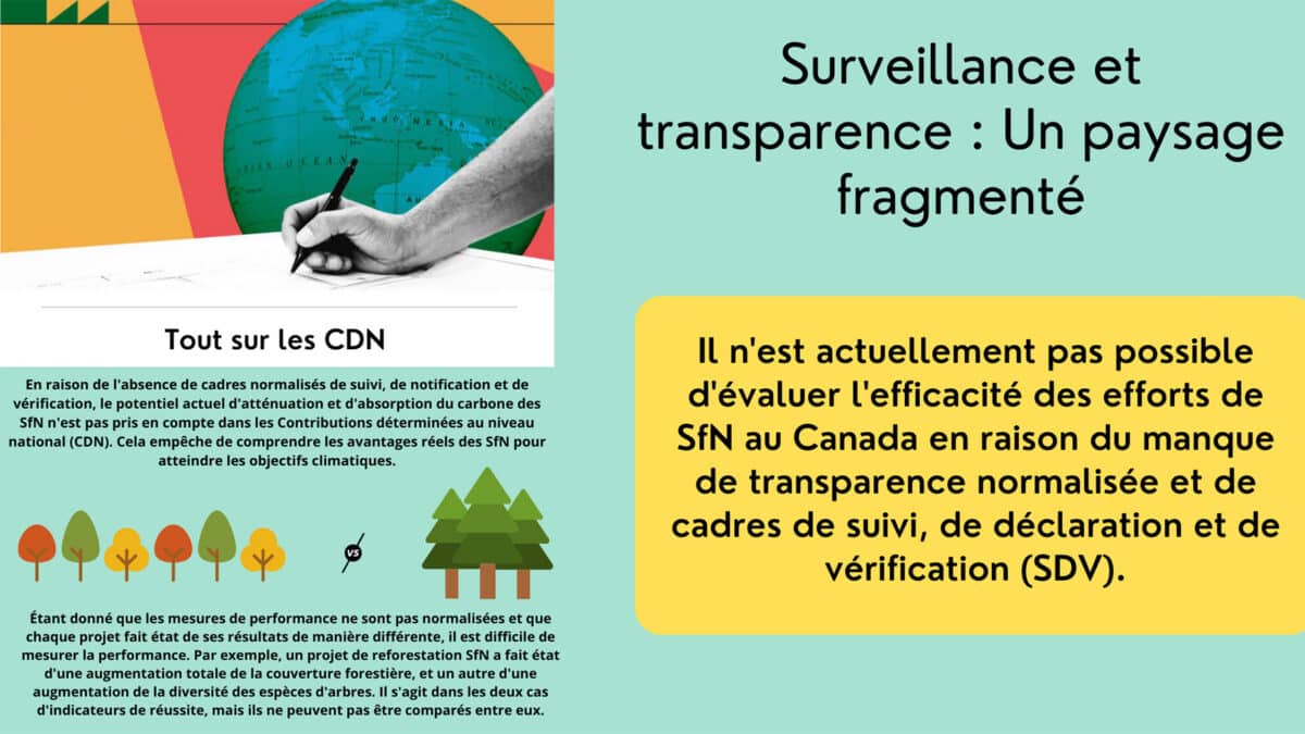 Illustration graphique sur le contrôle et la transparence : Un paysage fragmenté. Il n'est actuellement pas possible d'évaluer l'efficacité des efforts de SfN au Canada en raison d'un manque de transparence normalisée et de cadres de suivi, de rapport et de vérification (SDV).