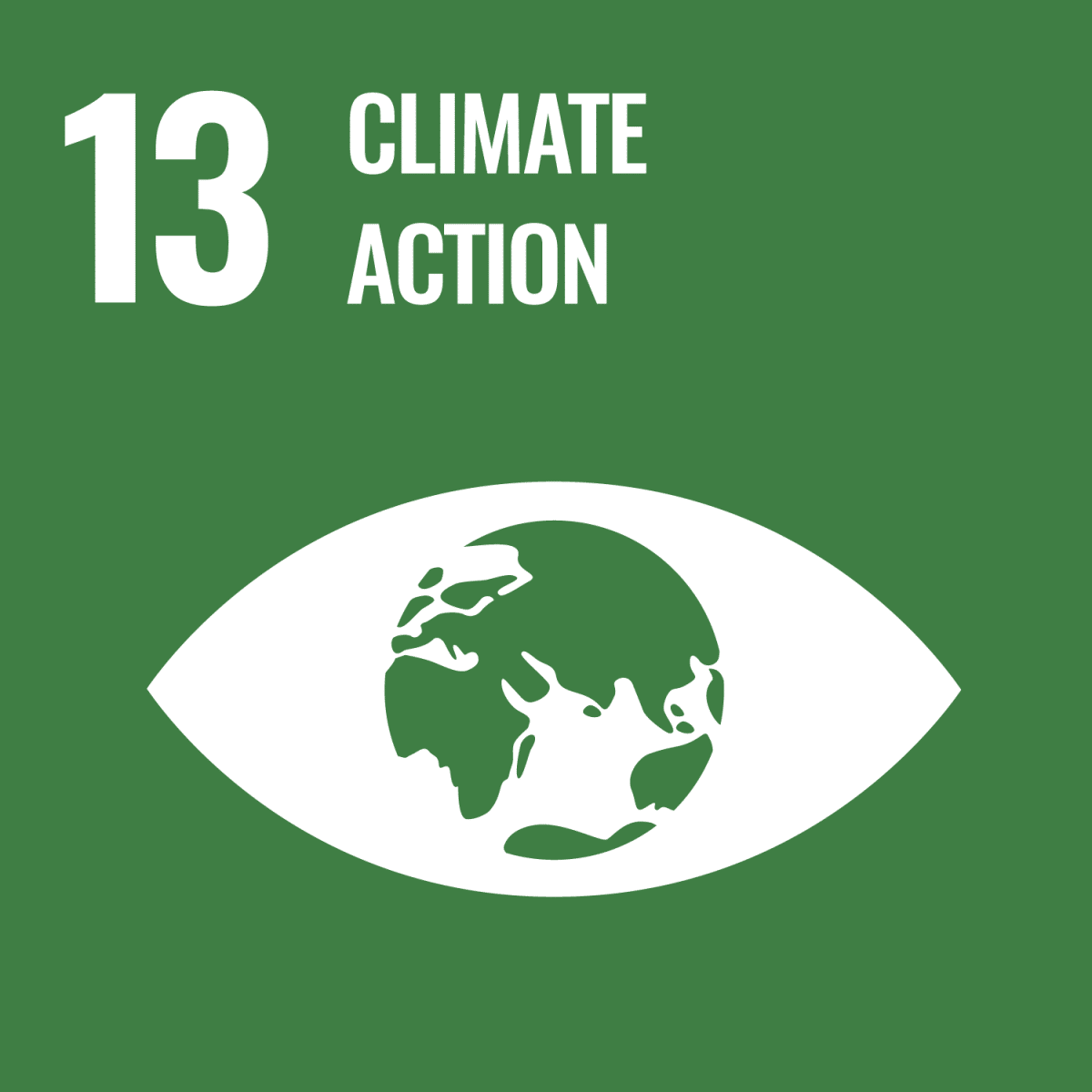 Icon: SDG 13 - Climate action