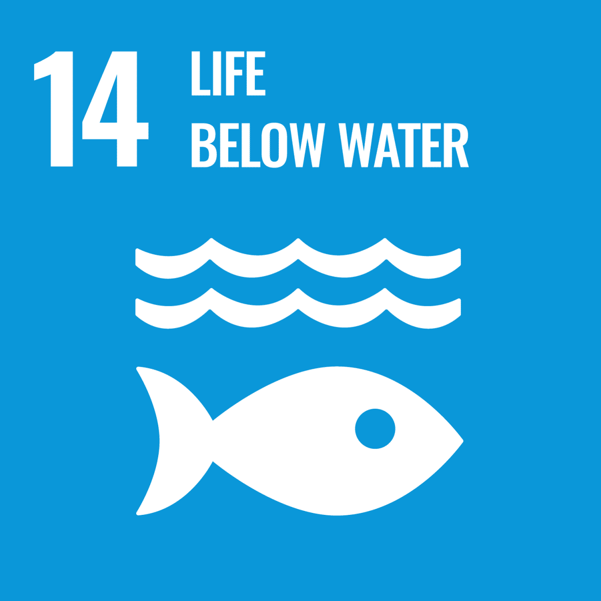 Icon: SDG 14 - Life below water
