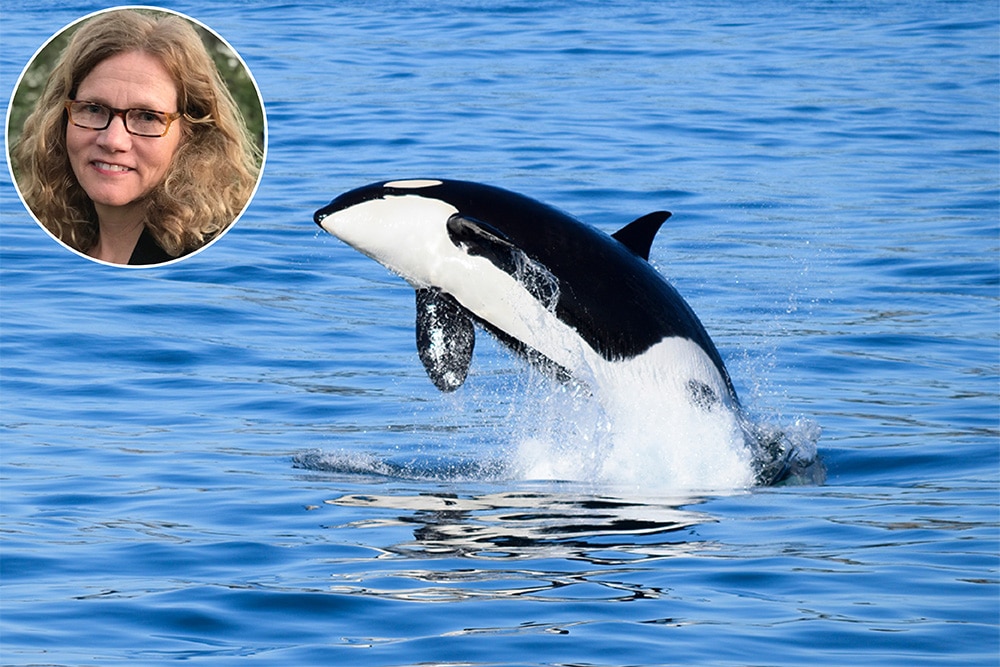 Headshot of Amy Luers in a circle over the top of an image of an orca jumping out of the ocean.