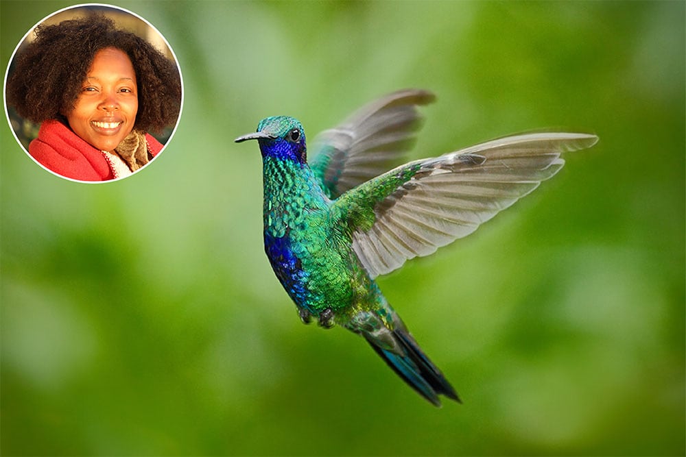 Headshot of Éliane Ubalijoro in a circle over the top of an image of a beautiful blue-green coloured hummingbird mid-flight with wings outstretched.