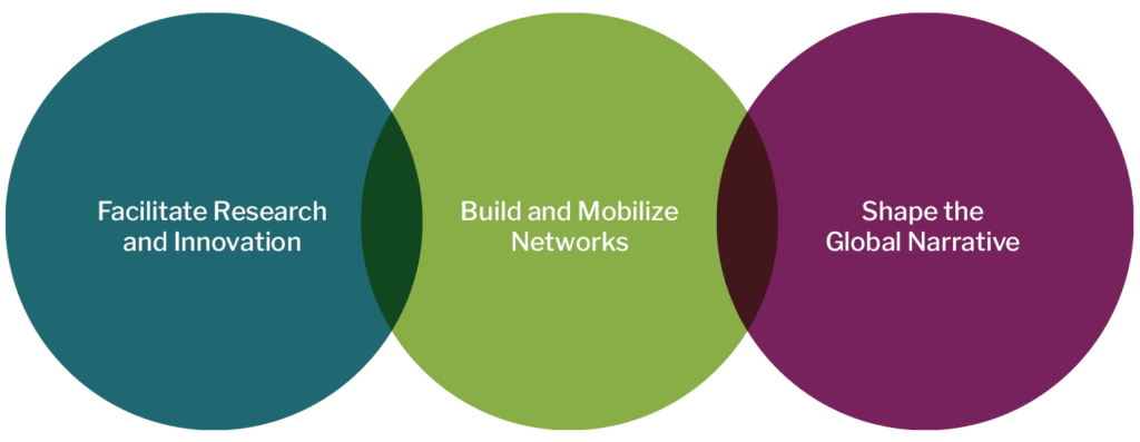 Three overlapping circles. One teal with the words "Facilitate Research and Innovation," one green with the words "Build and Mobilize Networks," and one purple with the words "Shape the Global Narrative."