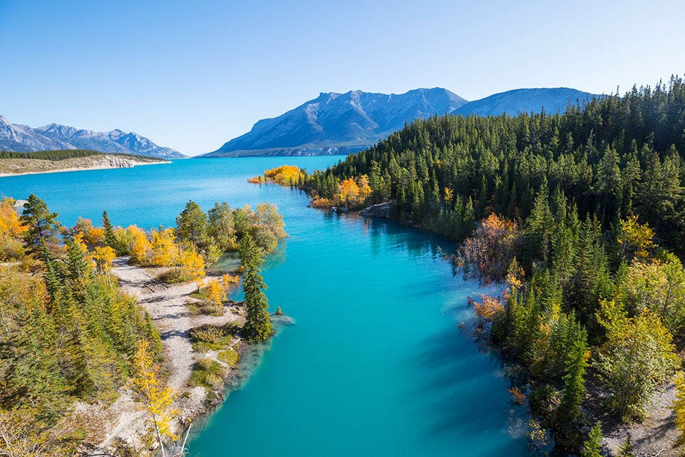Landscape from Canada with turquoise river and pine forest either side. Mountain in the background.