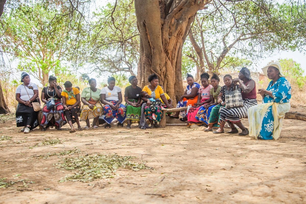 Women from Kalomo Grain cooperatives, Zambia sit under a tree by Kalichi Pictures