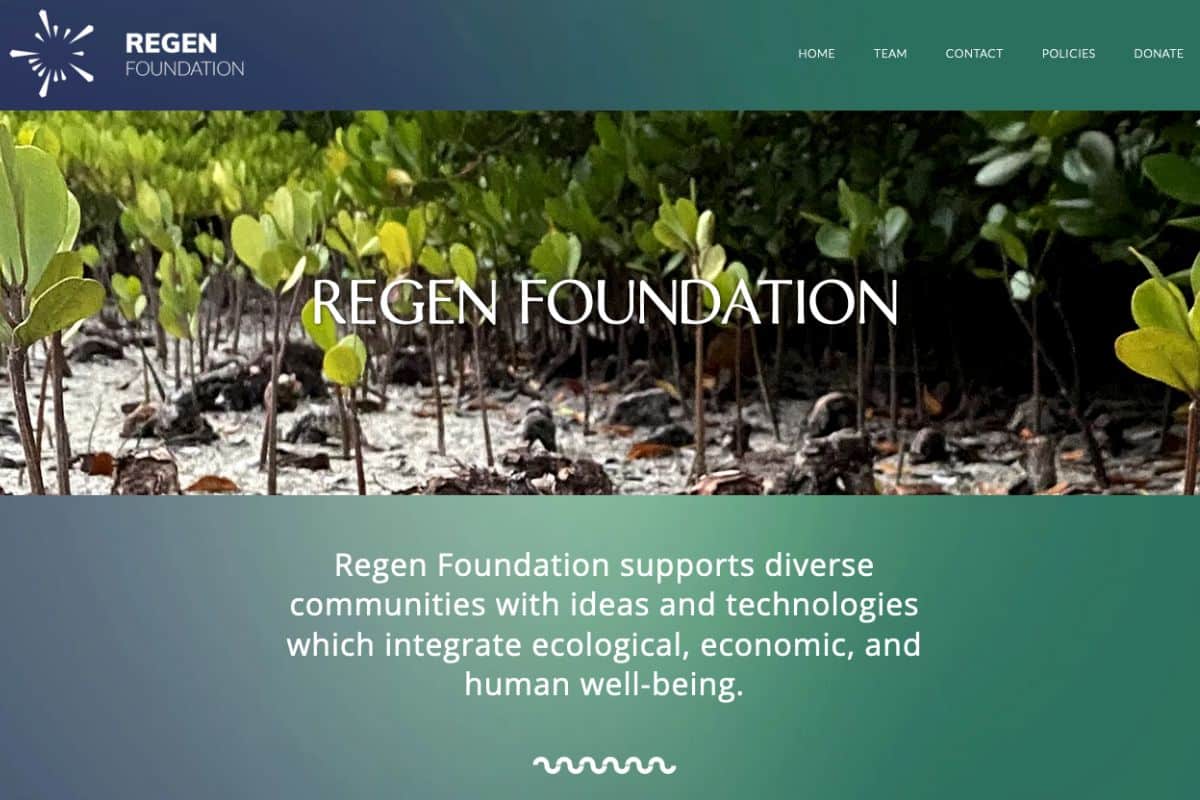 Screenshot of Regen Foundation website
